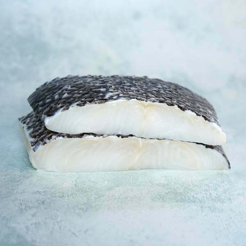 Buy Patagonian Toothfish Online | Next Day Delivery – The Fish Society