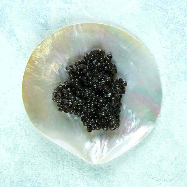 Caviar Shells Buy Mother Of Pearl Caviar Dish Online | Shell Caviar Dish – The Fish ...