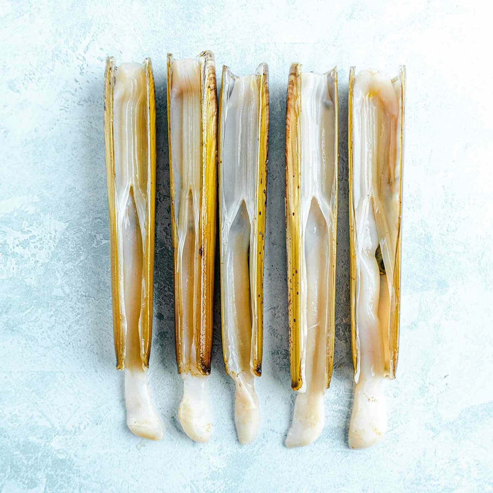 Buy Razor Shell Clams Online | Fresh Frozen – The Fish Society