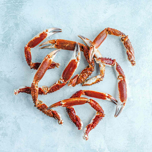 Spider Crab (Cornish King Crab) - Raw Claws