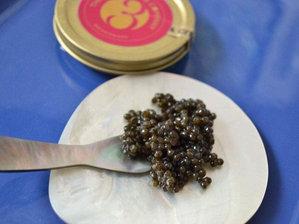 Beluga/Baerii Caviar - Number 3