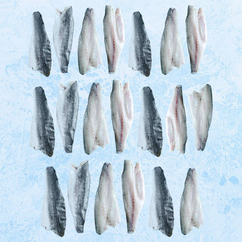 Mediterranean Sea Bass Bundle - 20 Fillets