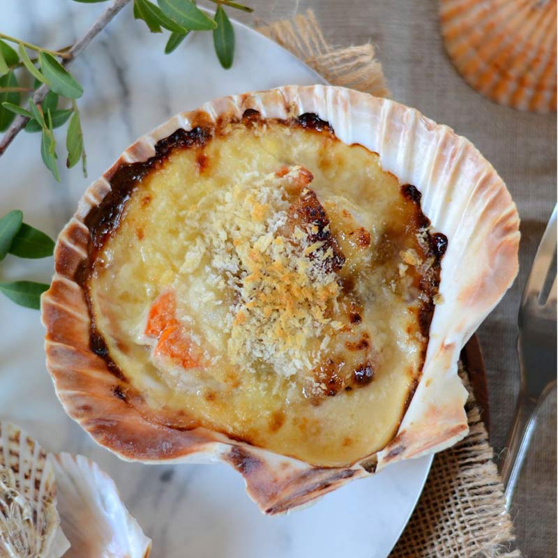 Coquille Saint Jacques