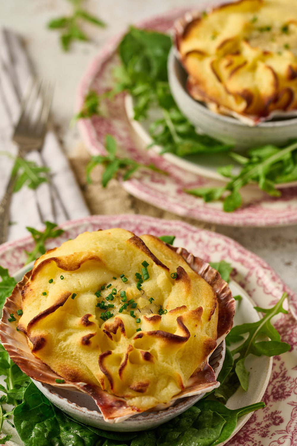 Coquille Saint Jacques