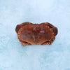 Whole English Crab - Cooked