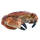 Crab