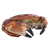 Crab