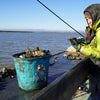 English Oysters - Six Oysters
