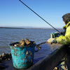 English Oysters - Six Oysters