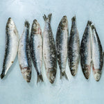 Sardines Whole & Pan Ready