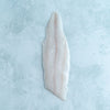 Wild British Dover Sole Fillet