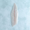 Wild British Dover Sole Fillet