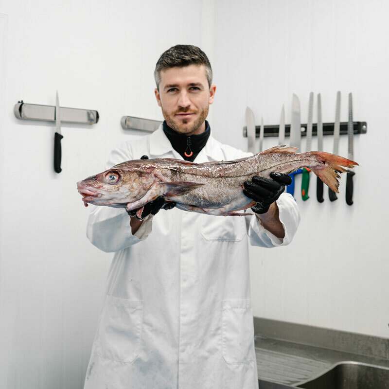 Wild Atlantic Skinless Haddock Bundle 260g x 20 (40 fillets)