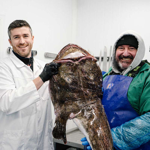 Wild British Monkfish Whole Fillet