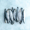 Whole Cornish MSC sardines, frozen, 500g pack of around 12 fish