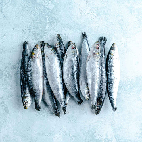 Whole Cornish MSC sardines, frozen, 500g pack of around 12 fish
