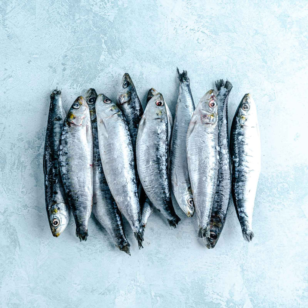 Whole Cornish MSC sardines, frozen, 500g pack of around 12 fish