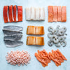 Bestsellers Fish Box – Large (16 Packs)