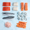 Bestsellers Fish Box – Medium (7 Packs)