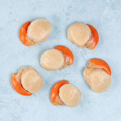 Wild Hand Dived King Scallops