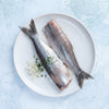 Wild Dutch Maatjes Herring Fillets