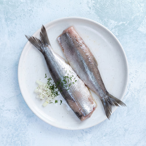 Wild Dutch Maatjes Herring Fillets