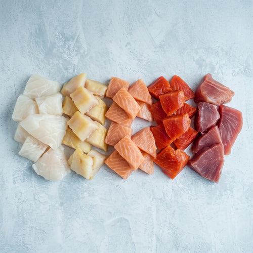 Mixed fish misshapes Taster: five vacuum packs, one each of cod, smoked haddock, Atlantic salmon, wild sockeye and yellowfin tuna