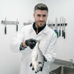 Whole Mediterranean Gilt Head Sea Bream - Cleaned