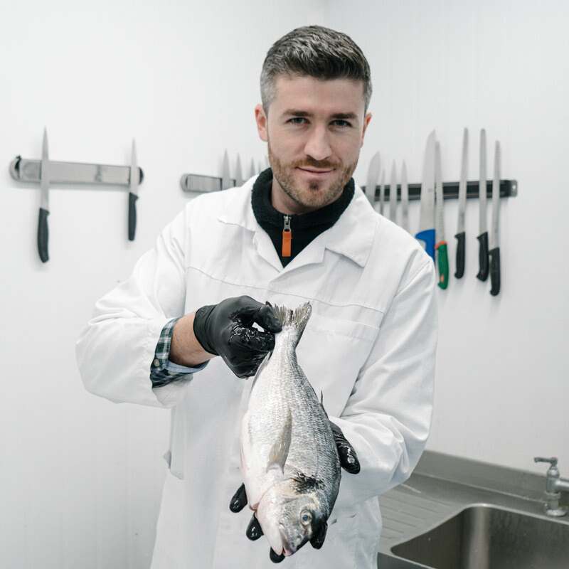 Whole Mediterranean Gilt Head Sea Bream - Cleaned