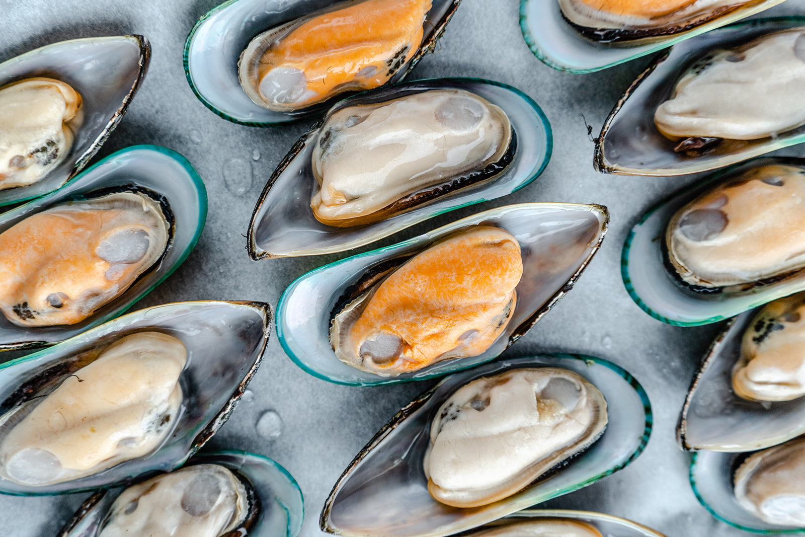 How To Defrost Frozen Fish The Fish Society