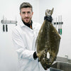 Whole Halibut Fillet