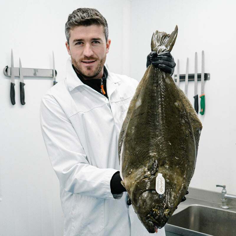 Nordic Halibut Fillet Steaks – The Fish Society