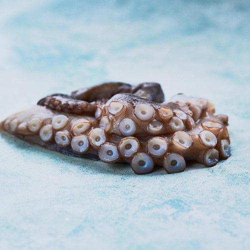 Wild Raw Octopus Tentacles