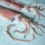 Wild Jig-Caught Seafrozen Whole Squid