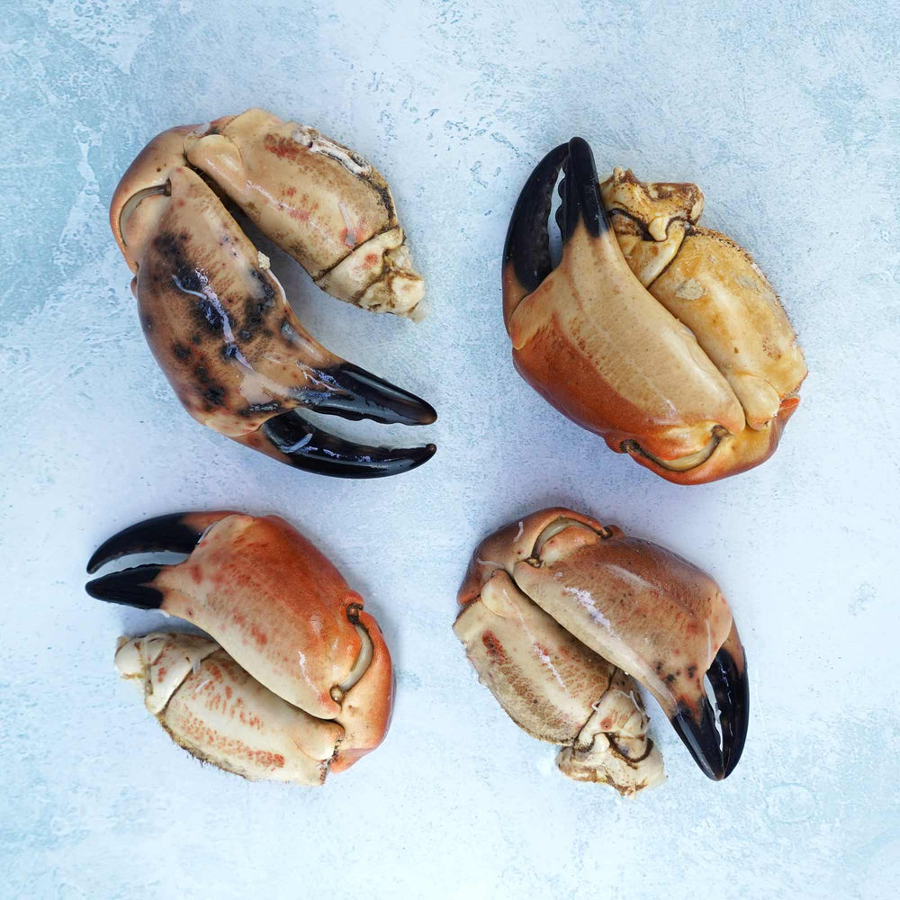 Wild British Crab Claws - Cooked