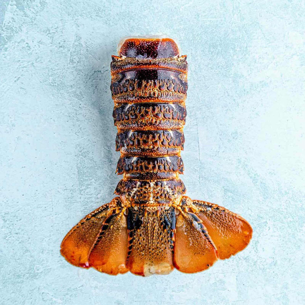 Wild Cold Water Rock Lobster Tails