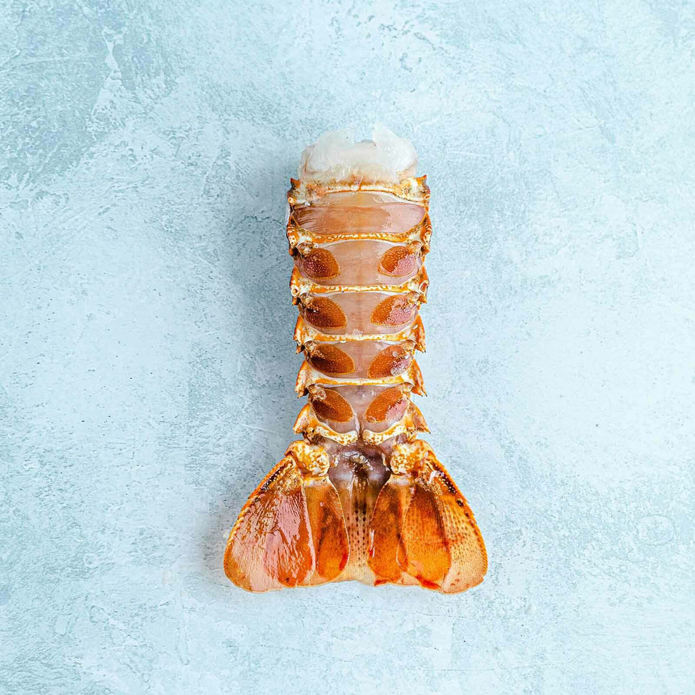 Wild Cold Water Rock Lobster Tails