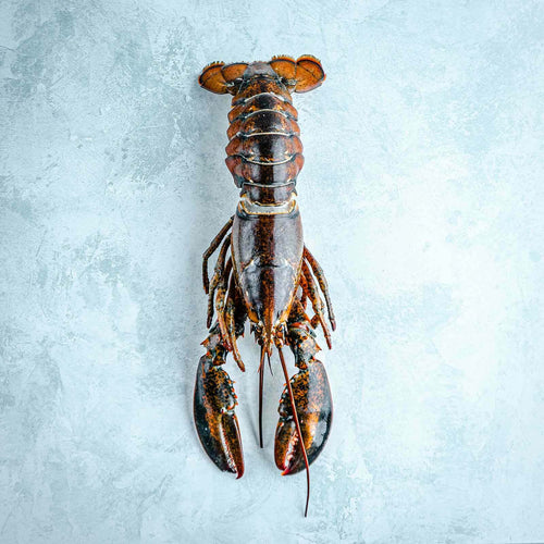 Whole Wild Raw American Lobster
