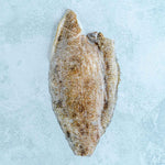 Wild Atlantic Lemon Sole Fillets