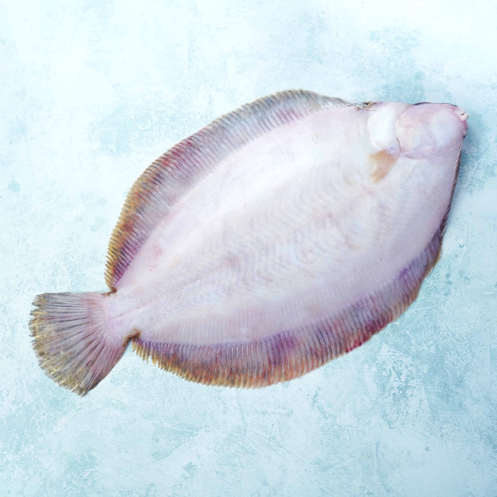 Whole Wild British Lemon Sole