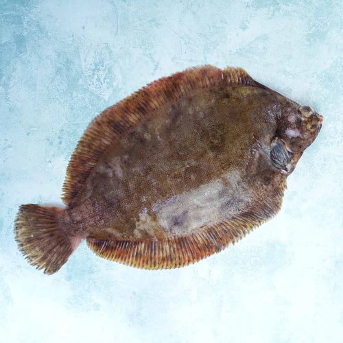 Whole Wild British Lemon Sole