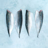 Wild Mackerel Fillets Bulk Case