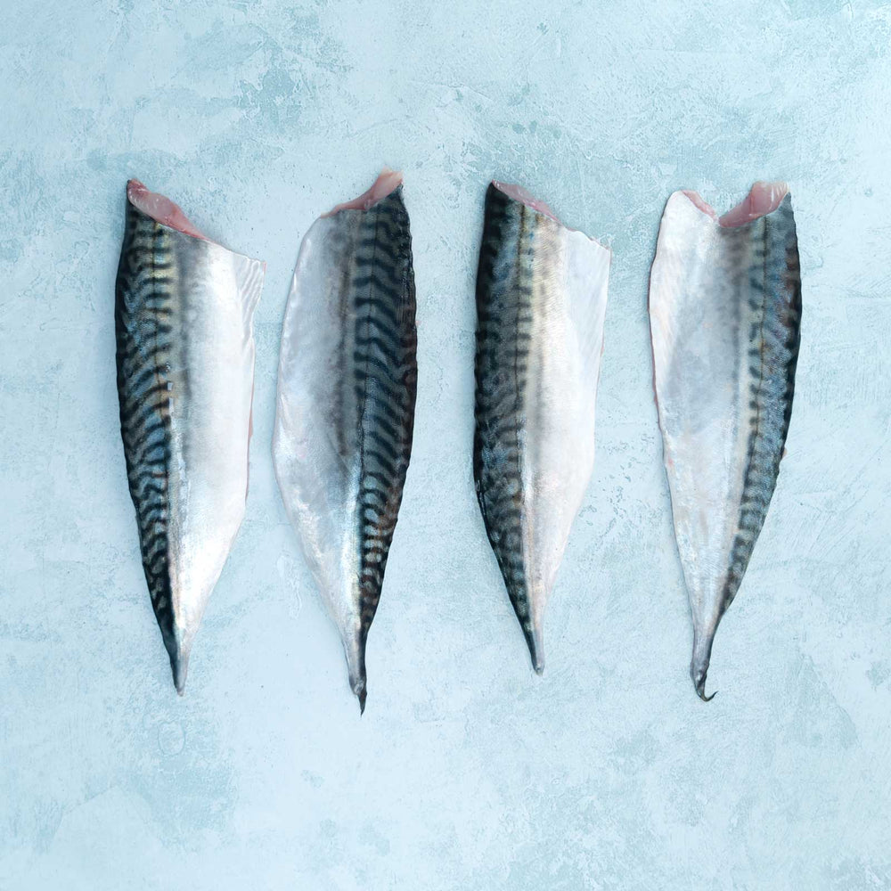 Wild Mackerel Fillets