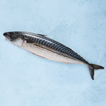 Whole Wild Mackerel - Cleaned