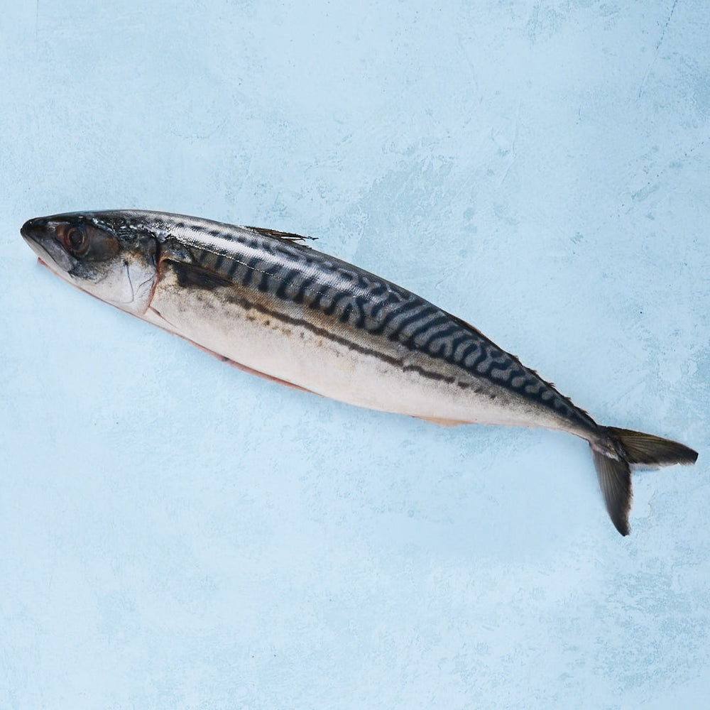 Whole Wild Mackerel - Cleaned