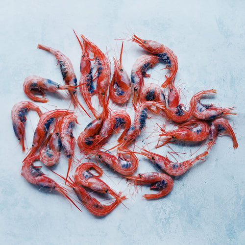 Wild Raw Blue Belly Shrimp