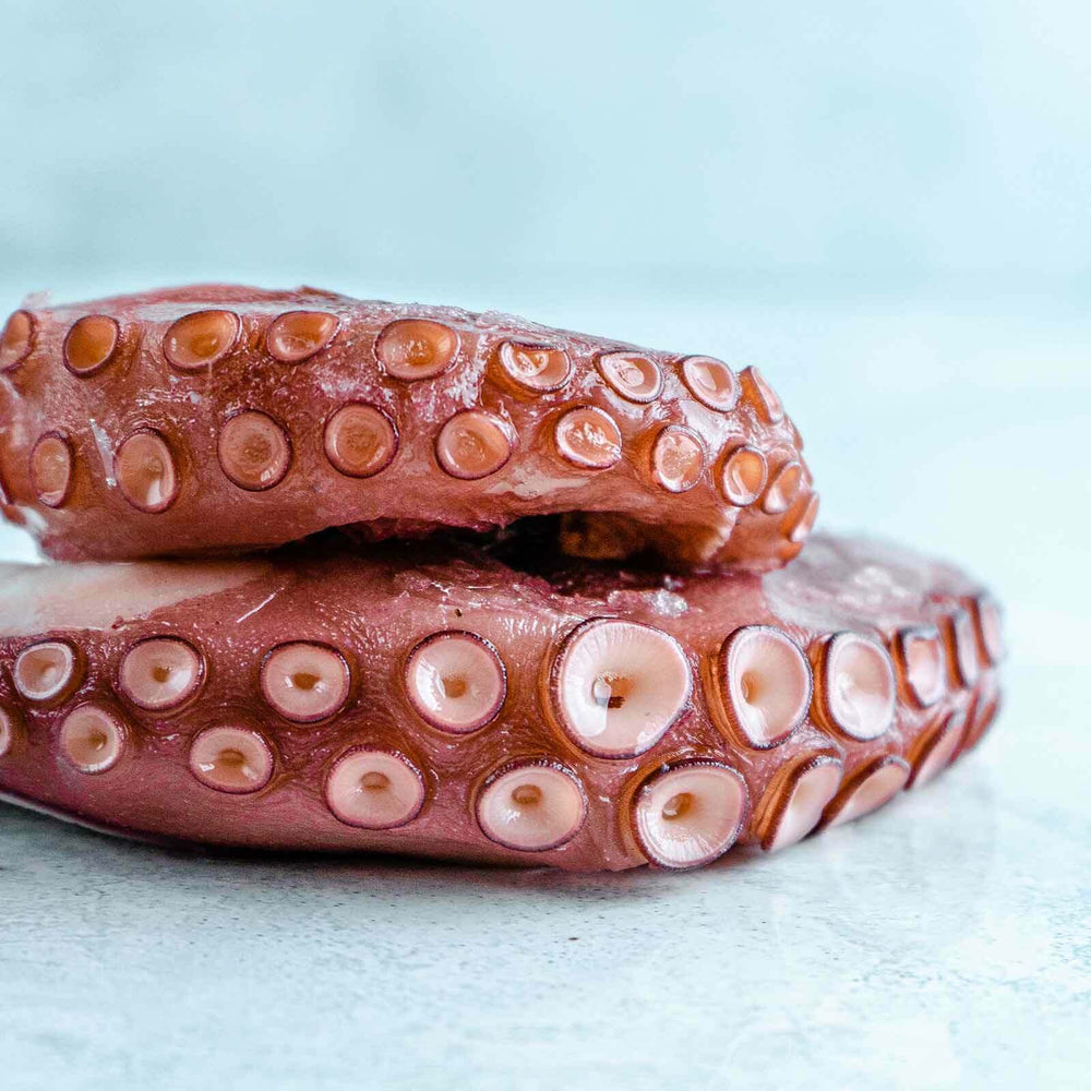 Cooked Wild Octopus Tentacle