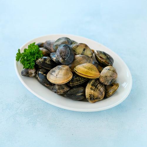 Palourdes - premium British clams