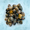 Palourdes - Premium British Clams