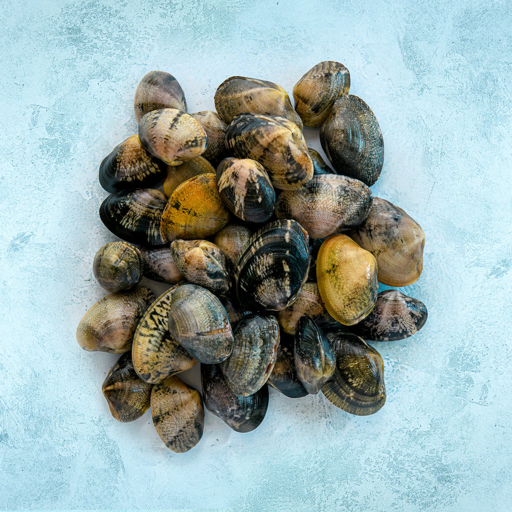 Palourdes - premium British clams